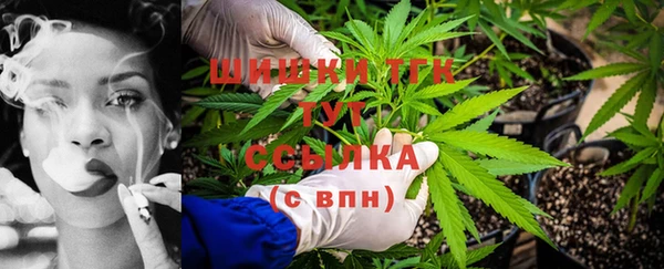 стаф Гусиноозёрск