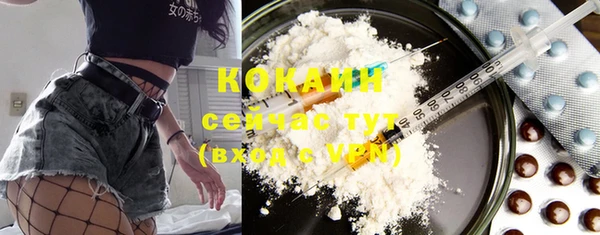 ECSTASY Горняк
