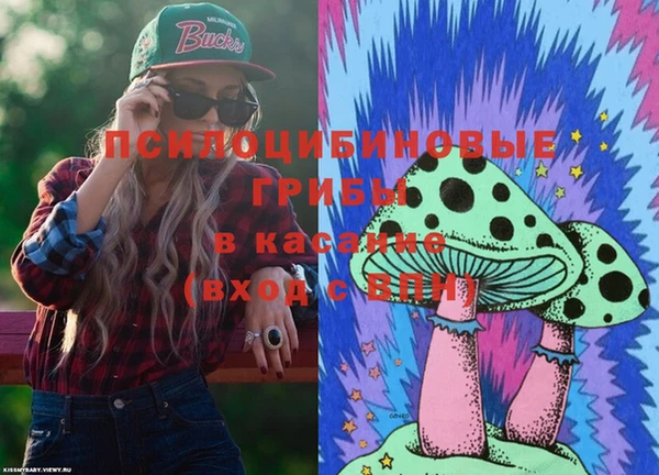стаф Гусиноозёрск