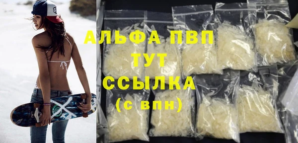 шишки Дмитров