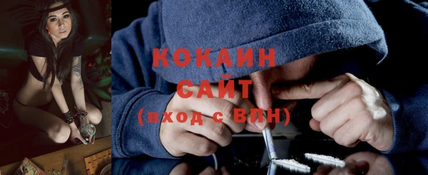 индика Дмитровск